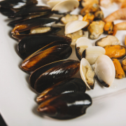 Meeresfrüchte aus dem Alt Empordà